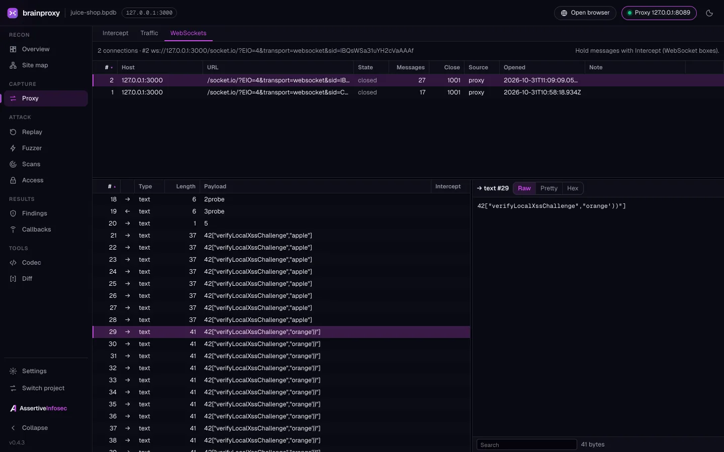brainproxy WebSockets: recorded connections and messages