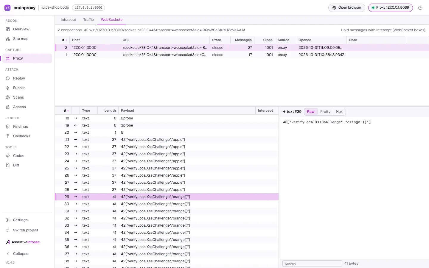 brainproxy WebSockets: recorded connections and messages